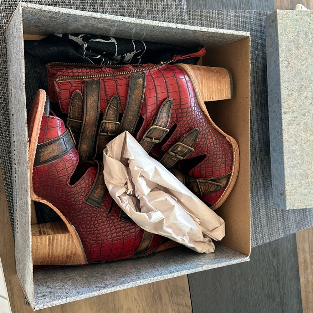 Free Bird shoes_size 9